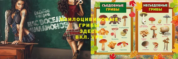 скорость mdpv Пестово