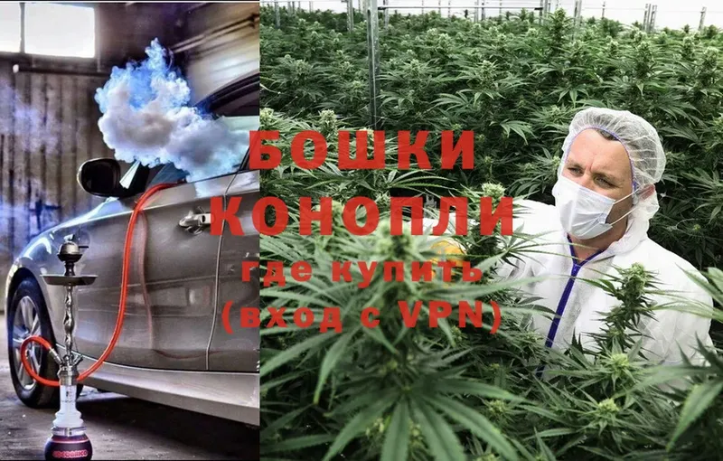 Конопля Ganja  Алагир 